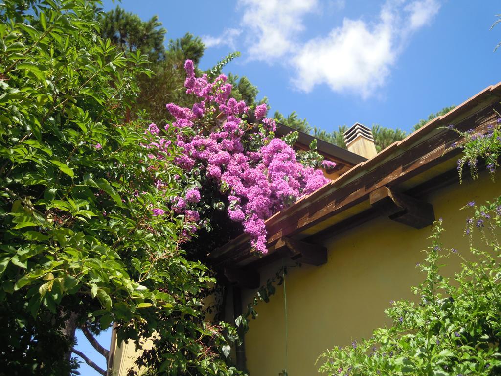 Casa Vacanze Vigna Di Valle Bracciano  Quarto foto