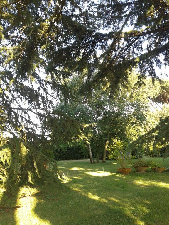 Casa Vacanze Vigna Di Valle Bracciano  Exterior foto